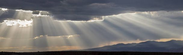 Південна Юта бурі
 - Фото, зображення