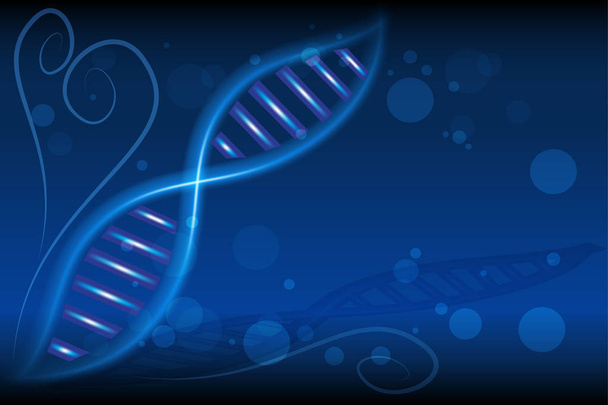 Вектор ДНК
 - Вектор,изображение