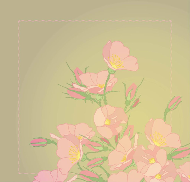 Blooming pink wild rose. Blooming wild rose branches. Botanical illustration. Buds of summer flowers. - Vector, imagen