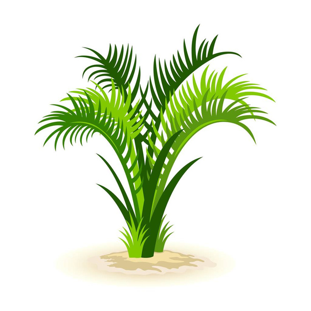 Ізольовані мультфільми Векторне зображення показує зелену долоню ростонеа
 - Вектор, зображення