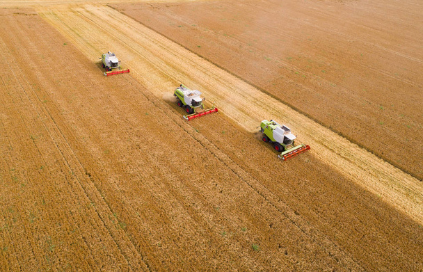 Buğday tarlasında çalışan birleştirici hasat makinesinin havadan görüntüsü - Fotoğraf, Görsel