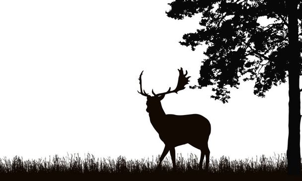Realistická černá ilustrace stojného jelena s parohy, trávou a vysokým stromem. Izolované na bílém pozadí, s prostorem pro textový vektor - Vektor, obrázek