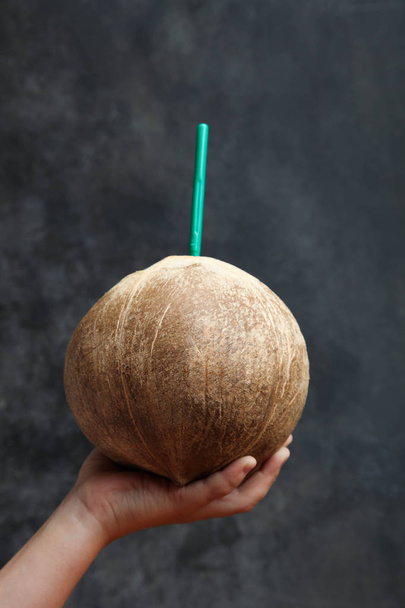 Tropical whole coconut  - Photo, Image