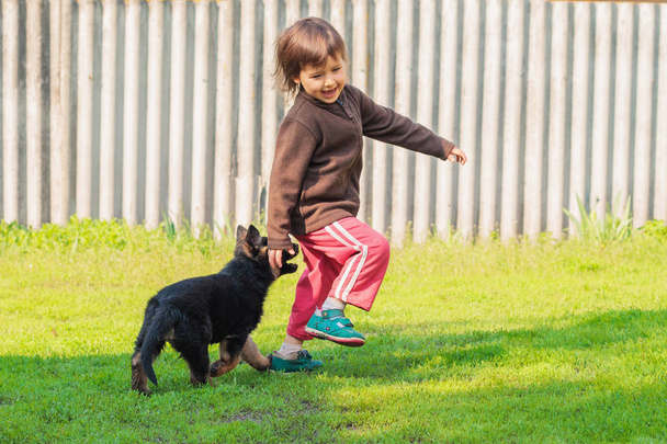 Šťastná dívka si hraje se psem aktivní hrou na trávníku, vesnici, den, otevřený vzduch - Fotografie, Obrázek