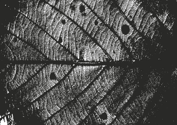 Занепокоєні накладанням дерев'яних листя макро текстури зі смугами. гранжевий чорно-білий фон. абстрактна векторна ілюстрація
 - Вектор, зображення