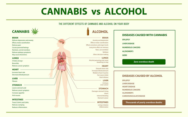 大麻対アルコール水平インフォグラフィック - ベクター画像