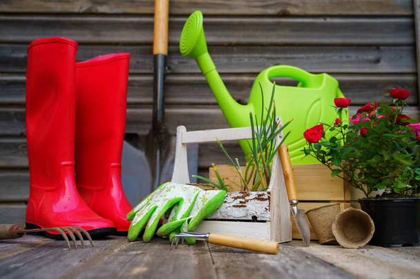 Shovel, watering can, hat, rubber boots, box of flowers, gloves and garden tools - Photo, Image