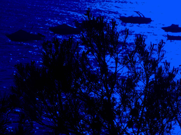 Reflecties op het water van de zee als gevolg van de zon bij zonsondergang of de maan bij het vallen van de nacht, het genereren van prachtige kleuren en grote contrasten. - Foto, afbeelding