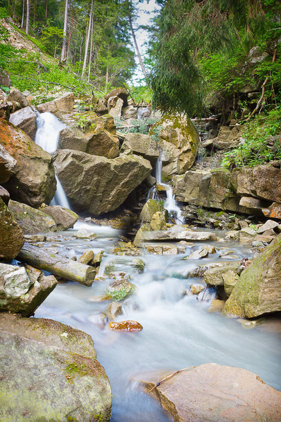 Ruisseau de forêt de montagne avec une cascade dans les Carpates - Photo, image