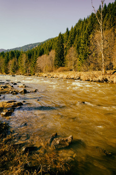 Вишукана природа гір, гірська річка, пейзаж
 - Фото, зображення