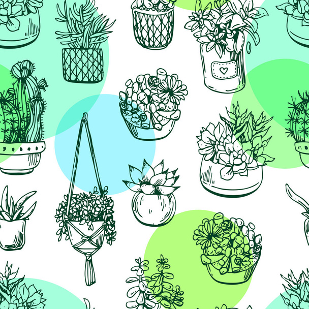 Home plants set. Beautiful hand drawn sketch style drawing. - Vecteur, image