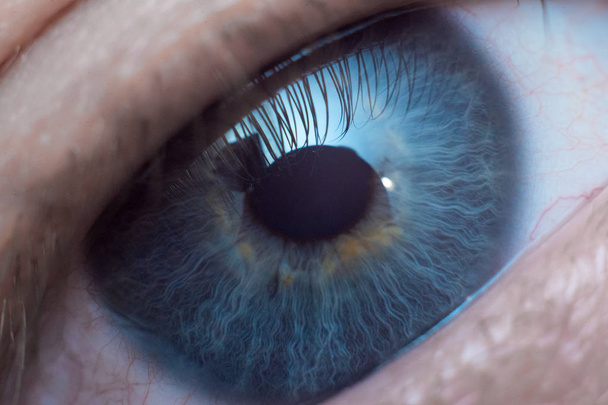Macro blue eye with yellow splashes - Fotoğraf, Görsel