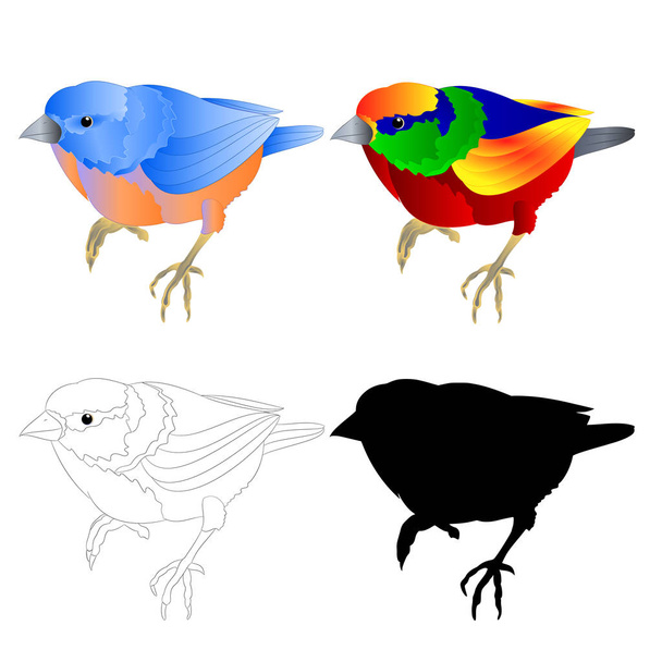 Bluebird küçük kuş ardıç kuşu ve tropikal kuş anahat ve siluet beyaz bir arka plan vintage vektör illüstrasyon düzenlenebilir el çizmek - Vektör, Görsel