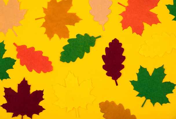 Bovenaanzicht van decoratieve multi gekleurde vilt bladeren. Herfst achtergrond. - Foto, afbeelding