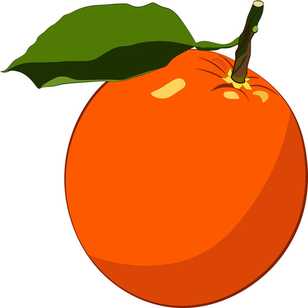 白地に孤立したオレンジ - ベクター画像