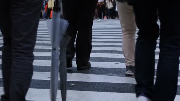 Ноги ходячих на переходе в Токийский дождливый день Сибуя - Кадры, видео