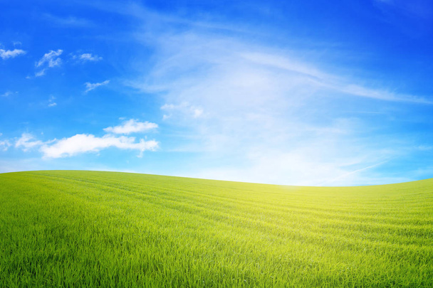 Meadow under blue sky with sun  - Photo, Image