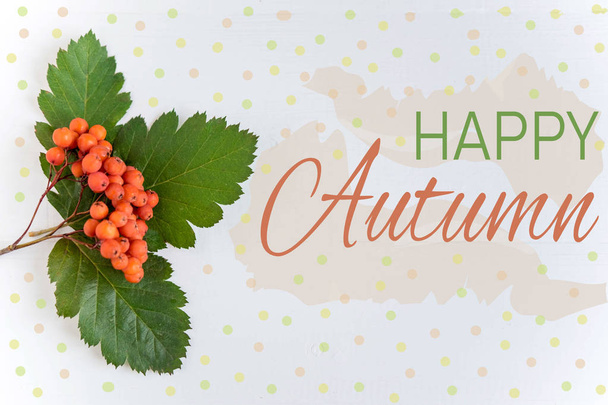 Inscription happy autumn. Banner with rowan berries and leaves on a light background. Autumn banner with rowan. Autumn banner promotions and discounts. View from above - Фото, зображення