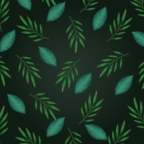 tropical branches leaves exotic plant - Vector, Image