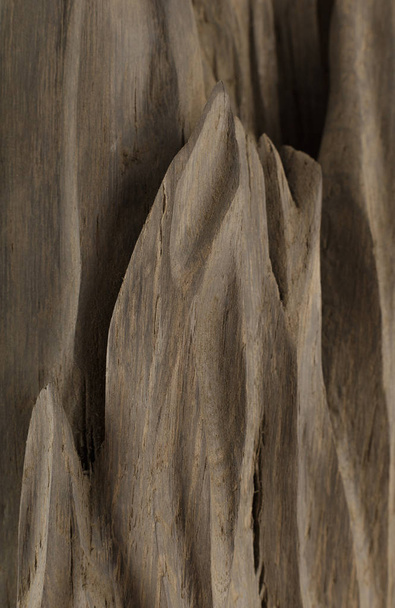 The product of the roots of oak, the texture of oak. - Photo, Image