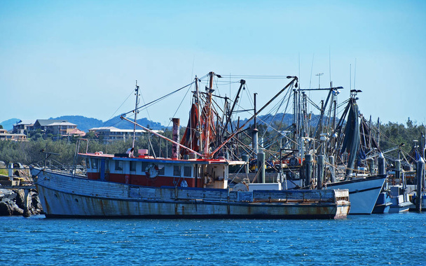 Shrimp boats. Nautical Marina scene. - Photo, Image