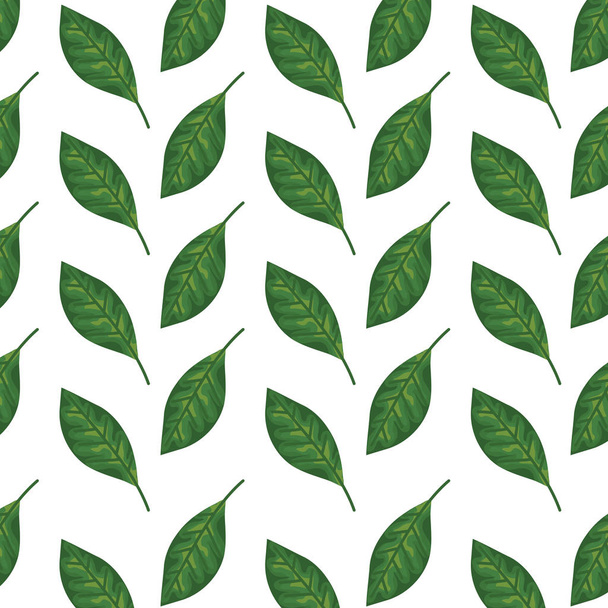 ecology leafs plants and branches nature pattern - Vecteur, image