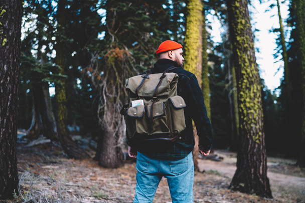 Rear view of young male traveller with touristic rucksack looking aside for search good route for getting to high mountains in National Park, man in casual wear spending time on fresh air in forest - Photo, Image