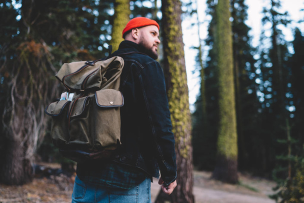 Back view of experienced male traveler admiring wilderness nature in beautiful green forest, young man hiker enjoying beautiful scenery of environment during trekking holiday for recreation - Foto, immagini