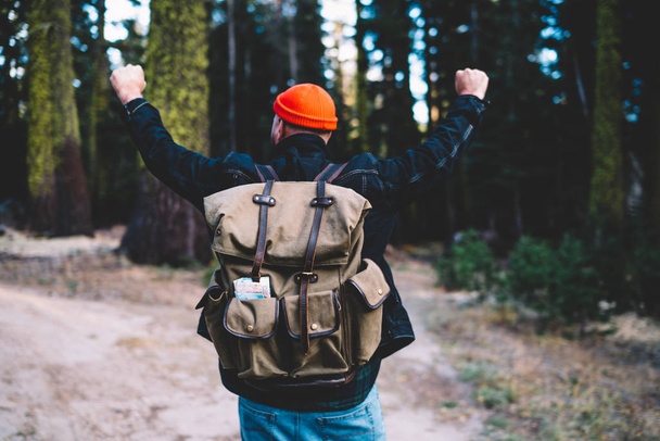 Excited male hiker with raised arms exploring natural wildness environment with green trees, happy man with touristick backpack feeling great spending time in forest during trekking journey - Foto, Imagen