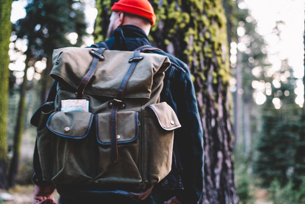 Back view of young male explorer with touristic rucksack standing forward to old tree during hiking trip in forest on weekend, hipster guy wanderlust trekking with backpack in national park - Valokuva, kuva