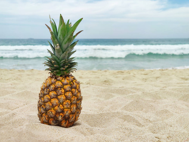 tropikal olgun meyve ananas  - Fotoğraf, Görsel