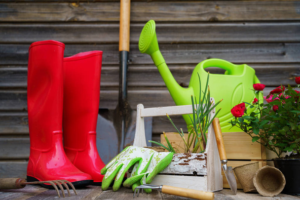 Kürek, sulama kutusu, şapka, lastik botlar, çiçek kutusu, eldiven ve bahçe aletleri - Fotoğraf, Görsel