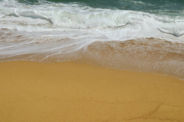 Κυματιστά κύματα πάνω από χρυσή αμμουδιά, Σιθωνία, Ελλάδα - Φωτογραφία, εικόνα
