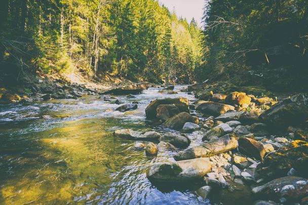 Чудовий гірський річковий і лісовий пейзаж
 - Фото, зображення