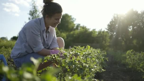 Belle jeune femme caucasienne travaillant dans des gants dans un jardin à l'extérieur
 - Séquence, vidéo