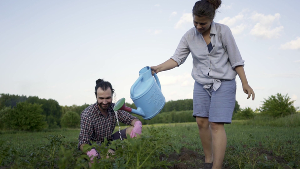 Young couple gardening in gloves in a garden outdoors - Záběry, video