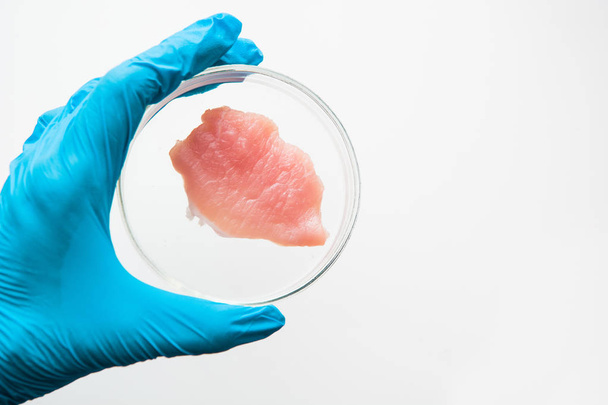 Laboratóriumi vizsgálatok mesterséges húsra. Egy Petri-csészében lévő darált hús. Megtekintés felülről - Fotó, kép