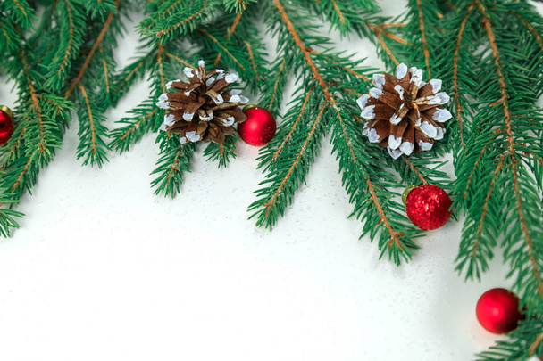 New Year's background on white. Branches a fir-tree  - Φωτογραφία, εικόνα