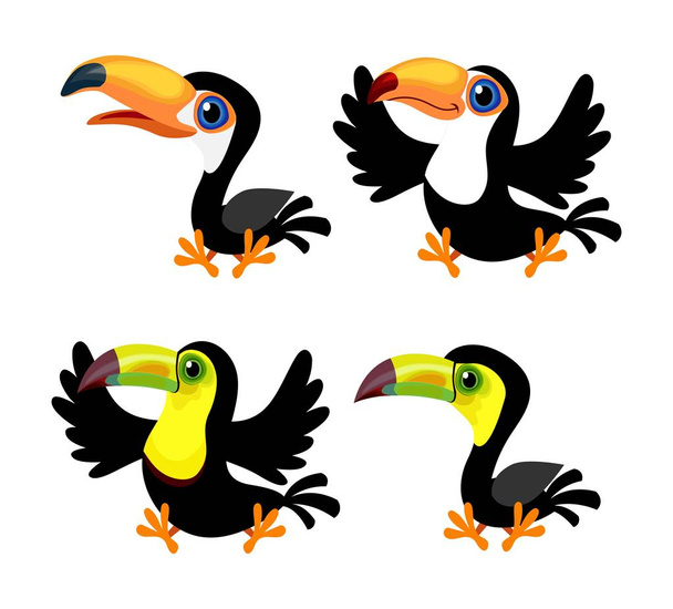 Set of four cartoon toucans (Ramphastos toco, Ramphastos sulfuratus) isolated on white - Vecteur, image