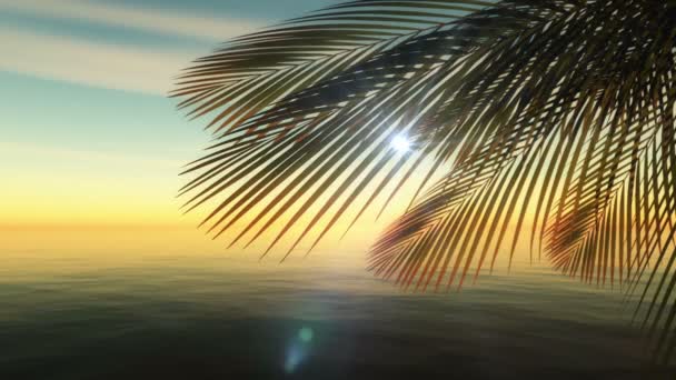 heure d "été palmier tropique mer 4k
 - Séquence, vidéo