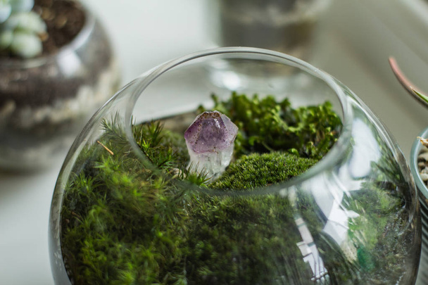 Florarium with moss and succulents indoors on white table  - 写真・画像