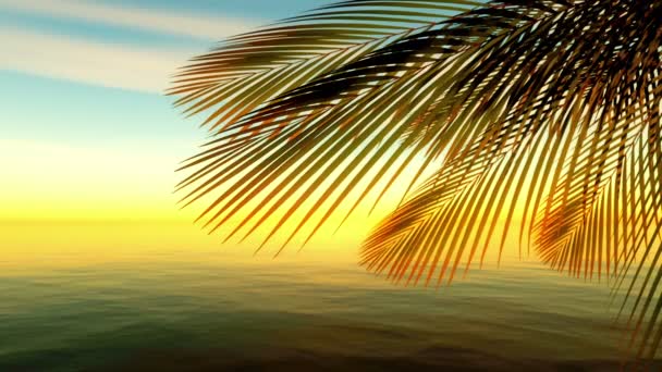nyári idő Pálma trópusi tenger 4k - Felvétel, videó