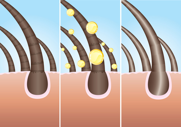 Hair cure - Vector, Image