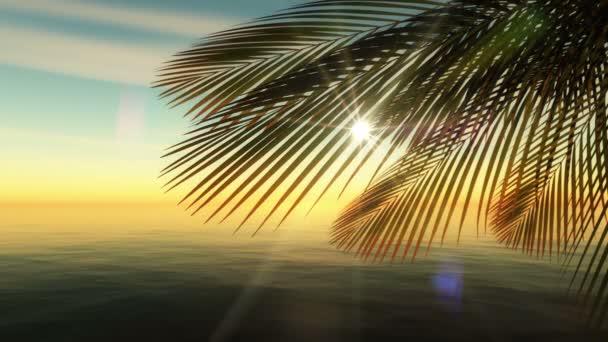 summer time palm tropic sea 4k - Footage, Video