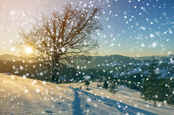 Paesaggio natalizio invernale all'alba. Traccia impronte umane percorso i
 - Foto, immagini
