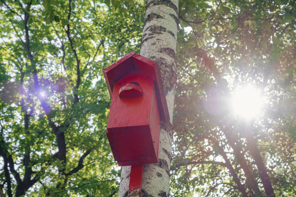 Oiseau peint de couleur rouge. Coffret de nidification sur arbre
. - Photo, image