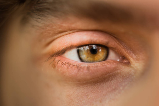 male eye close up. man looks into the frame. brown iris in macro - Foto, immagini