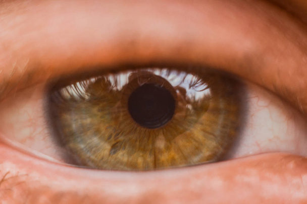 male eye close up. man looks into the frame. brown iris in macro - Foto, afbeelding