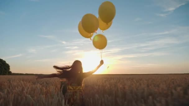 Young girl with balloons in the field - Footage, Video