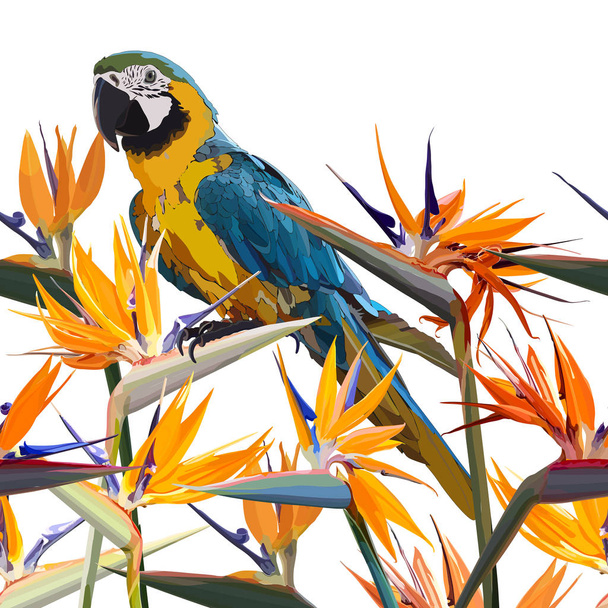 Pozadí se Strelitzia reginae a papouškem - Vektor, obrázek